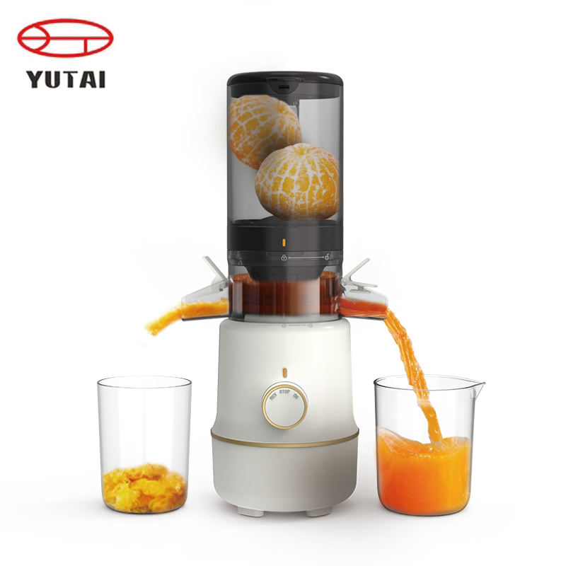 Presse-agrumes commercial à grande bouche pour fruits et légumes, presse à froid, machine d'extraction à mastication lente